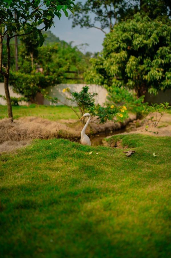 Vythiri Villas Wayanad ภายนอก รูปภาพ